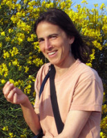 Prof. Dr. Susan Pollock