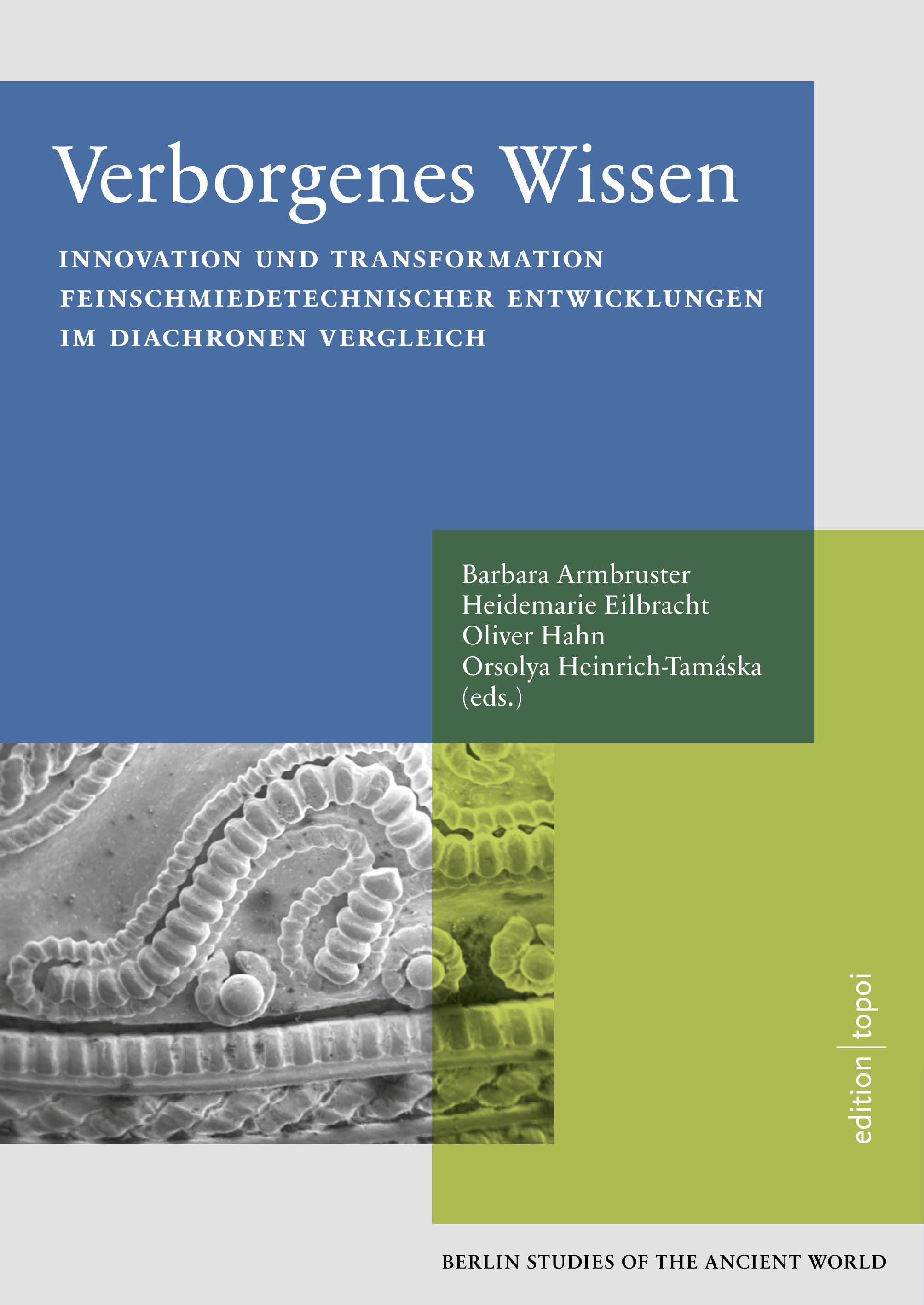 grün blau graues Buchcover Verborgenes Wissen