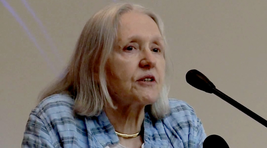 Saskia Sassen