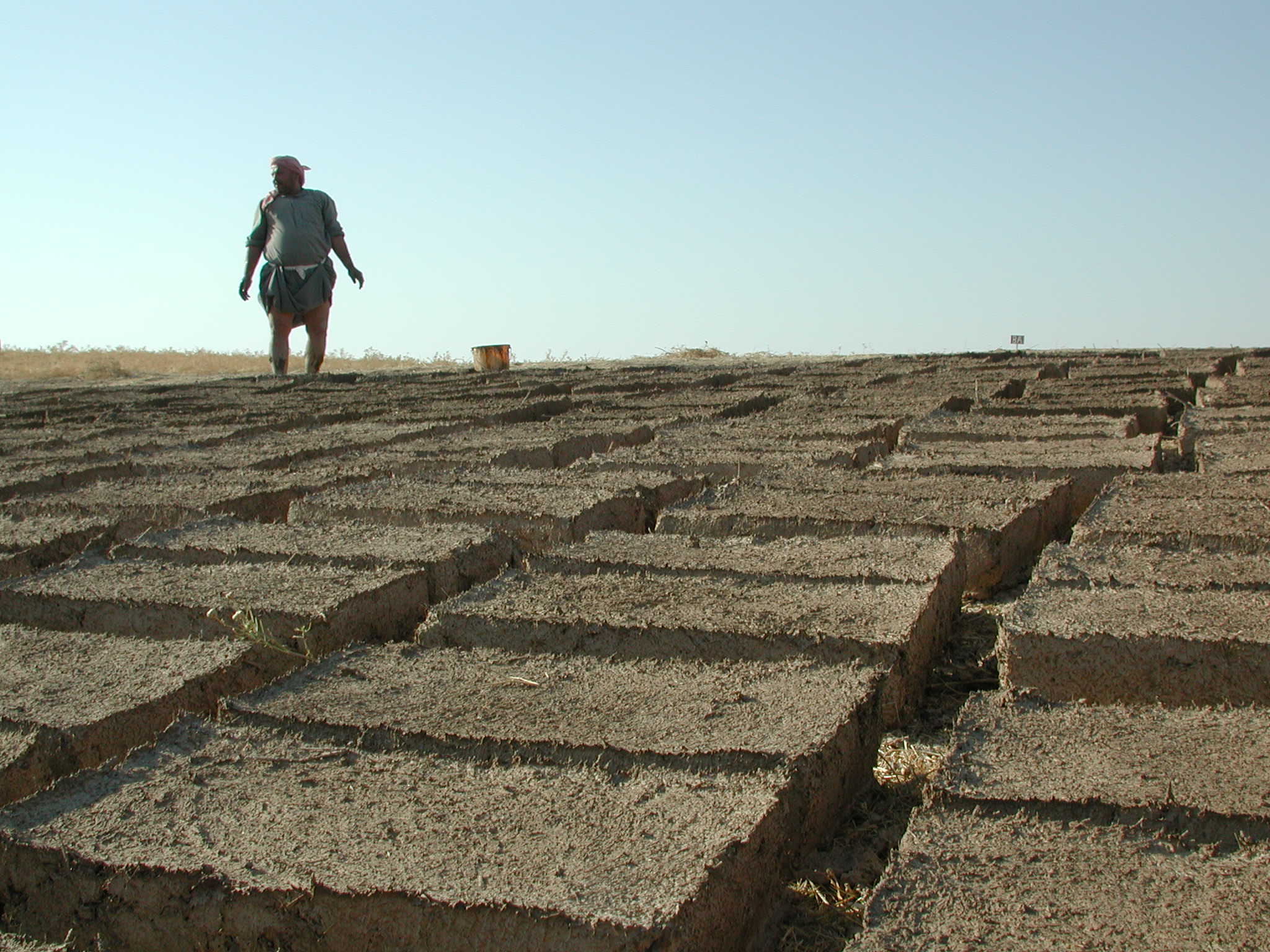 Mudbrick drying in the summer sun (Tell Mozan, Syria) | © IIMAS