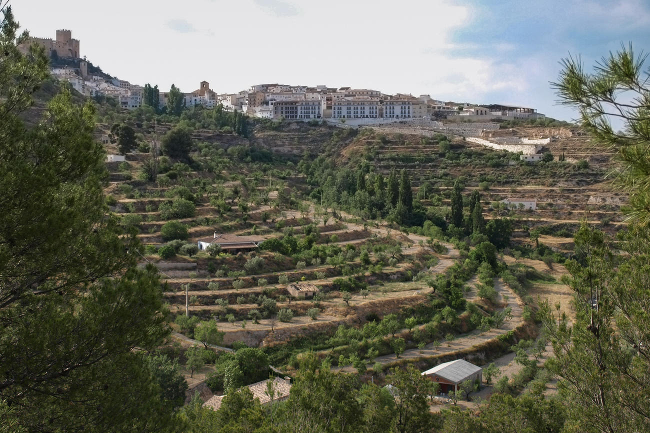 Die Bewohner des andalusischen Dorfs Vélez Blanco bewässern die terassenförmigen Landwirtschaftsflächen auch heute noch mit einem Kanalsystem, das vor mehr als 1000 Jahren angelegt wurde. Bildquelle: Jonas Berking