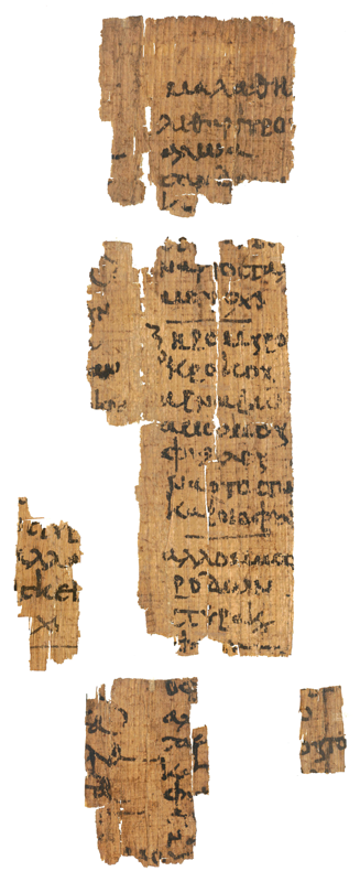 Papyrus, Among the most important precursors of paper, Papy…